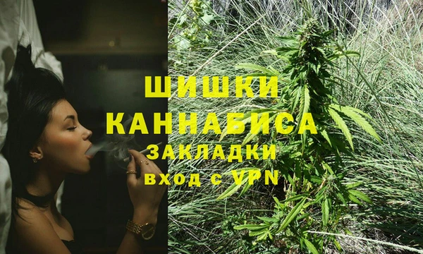apvp Бородино