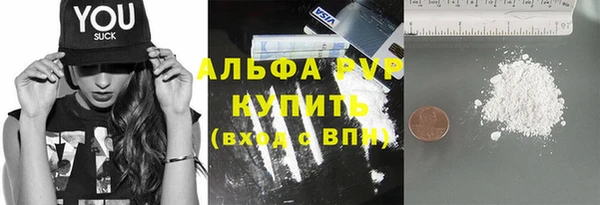apvp Бородино