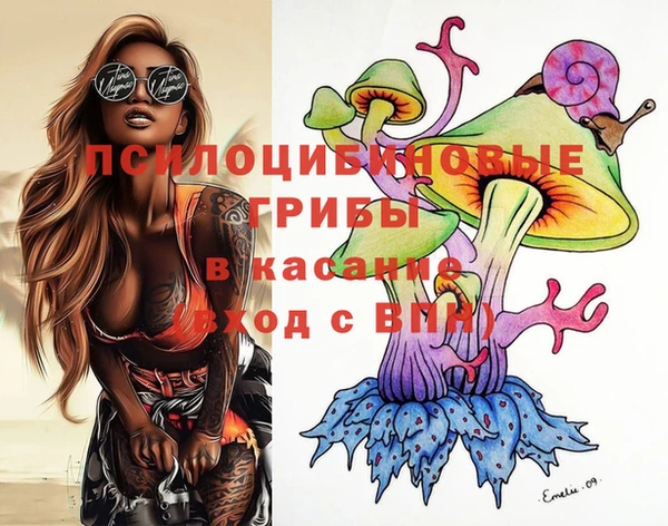 apvp Бородино
