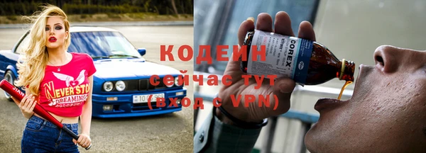 apvp Бородино