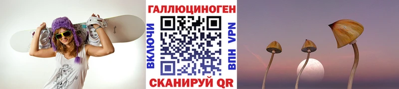 Галлюциногенные грибы прущие грибы  Купить где  Черняховск 